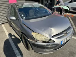 Peugeot 307 Sandarinimo guma priekinių durų (ant kėbulo) 9023KE