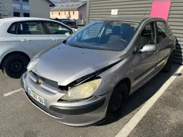 Peugeot 307 Sandarinimo guma priekinių durų (ant kėbulo) 9023KE