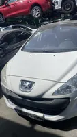 Peugeot 308 Guarnizione in gomma portiera posteriore (sulla carrozzeria) 902576