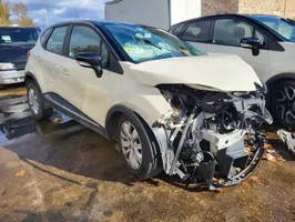 Renault Captur Galinė sandarinimo guma (ant kėbulo) 769230258R