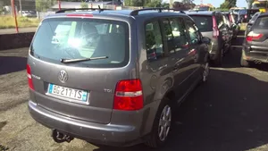 Volkswagen Touran I Junta de goma de la puerta delantera 1T0837702C9B9