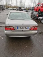 Mercedes-Benz E AMG W210 Portiera anteriore 210720160528