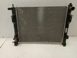 Renault Megane III Coolant radiator 