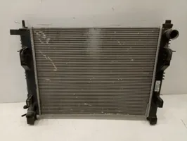 Renault Megane III Coolant radiator 