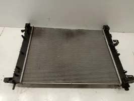 Renault Megane III Coolant radiator 