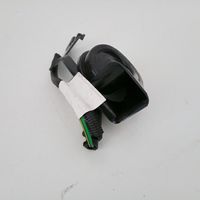 Citroen Berlingo Horn signal 