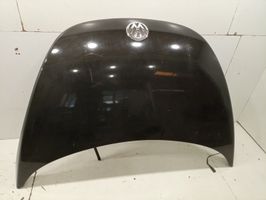 Volkswagen New Beetle Vano motore/cofano 