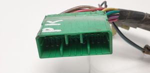 Lincoln Town Car Cableado de puerta delantera F5VB14631E7781