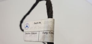 Mercedes-Benz CLK A209 C209 Otros cableados A2095406905