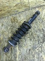 Citroen C5 Rear shock absorber/damper 