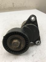 KIA Carens I Tendicinghia generatore/alternatore 2528127