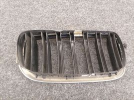 BMW X6 F16 Front grill 7308660