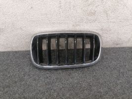 BMW X6 F16 Front grill 7308660
