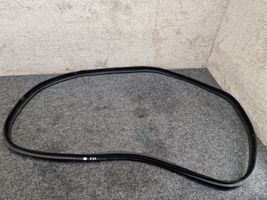 BMW 3 GT F34 Rear door rubber seal (on body) 7381989