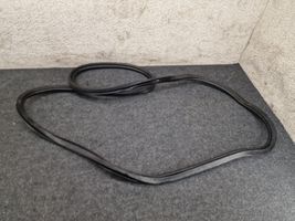 Audi Q5 SQ5 Rear door rubber seal (on body) 8R0833721