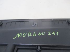 Nissan Murano Z51 Glove box 