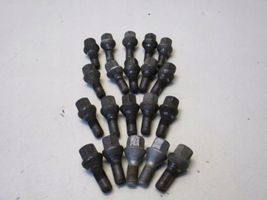 Renault Kangoo II Nuts/bolts 