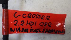 Citroen C-Crosser Autres faisceaux de câbles 9661631680