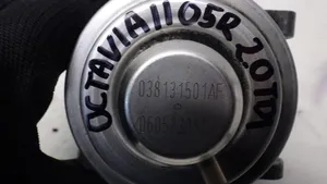 Skoda Octavia Mk2 (1Z) EGR-venttiili 038131501AF