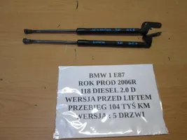 BMW 1 E81 E87 Muelle amortiguador puerta trasera 7008764