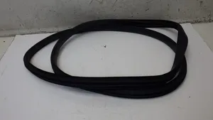 Renault Scenic IV - Grand scenic IV Rear door rubber seal (on body) 