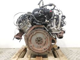 Ford F150 Variklis P552A