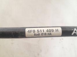 Audi A6 S6 C6 4F Galinis stabilizatorius 4f0511409h