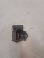 Renault Megane II Front door lower hinge 