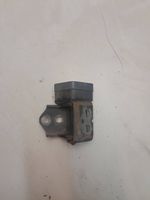 Renault Megane II Front door lower hinge 