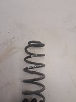 Renault Megane II Rear coil spring 