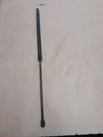 Volkswagen Caddy Tailgate/trunk strut/damper 