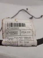 Citroen Berlingo Otros cableados A71005900