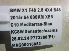 BMW X1 F48 F49 Galinių durų sandarinimo guma 51727440034