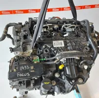 Ford Focus Moottori TYDA
