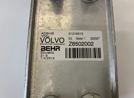 Volvo V40 Radiatore di raffreddamento 31319313