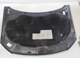 Volkswagen PASSAT B6 Engine bonnet/hood 