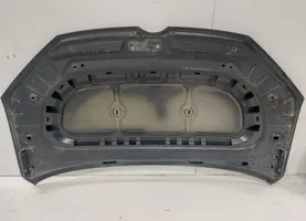 Volkswagen Sharan Motorhaube DEFEKT