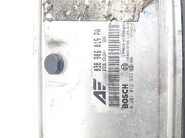 Volkswagen Sharan Sterownik / Moduł ECU 038906019PA