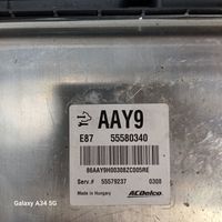 Opel Meriva B Sterownik / Moduł ECU 55580340