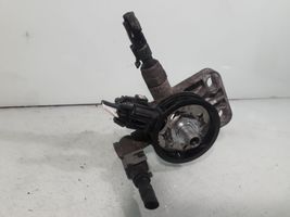 Hyundai Santa Fe Filtro carburante DHF2400010