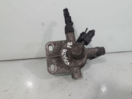 Hyundai Santa Fe Filtro carburante DHF2400010