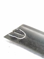 Audi A4 S4 B5 8D Rivestimento della portiera anteriore (modanatura) 8D0853960B