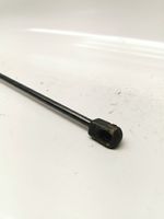 Audi A6 Allroad C5 Tailgate/trunk strut/damper 