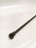 BMW 3 E46 Front bonnet/hood damper/strut 