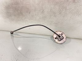 Volkswagen PASSAT B5.5 Antenna autoradio 