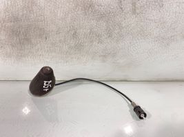 Volkswagen PASSAT B5.5 Antenna autoradio 