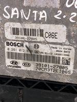 Hyundai Santa Fe Sterownik / Moduł ECU 3910627805