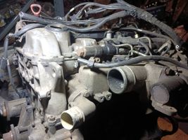 SsangYong Rexton Moteur A6652050205