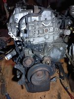 SsangYong Rexton Moteur A6652050205