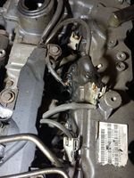 SsangYong Rexton Moteur A6652050205